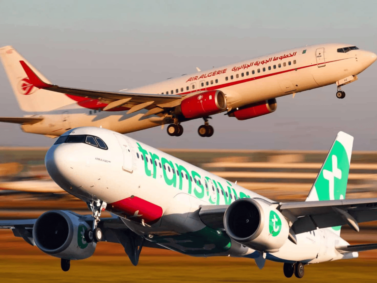 Air Algérie: Elargit ses services vers la France bientôt