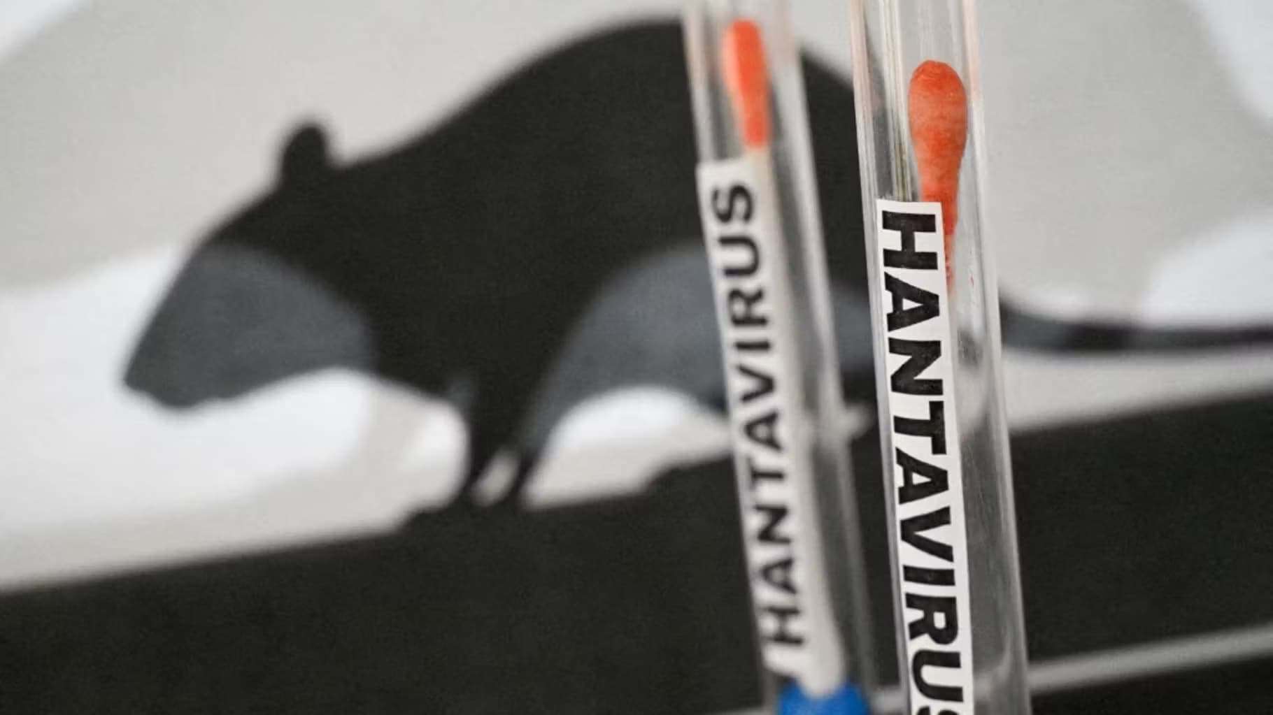 Sérum de test pour l'hantavirus avec souris en arrière-plan.