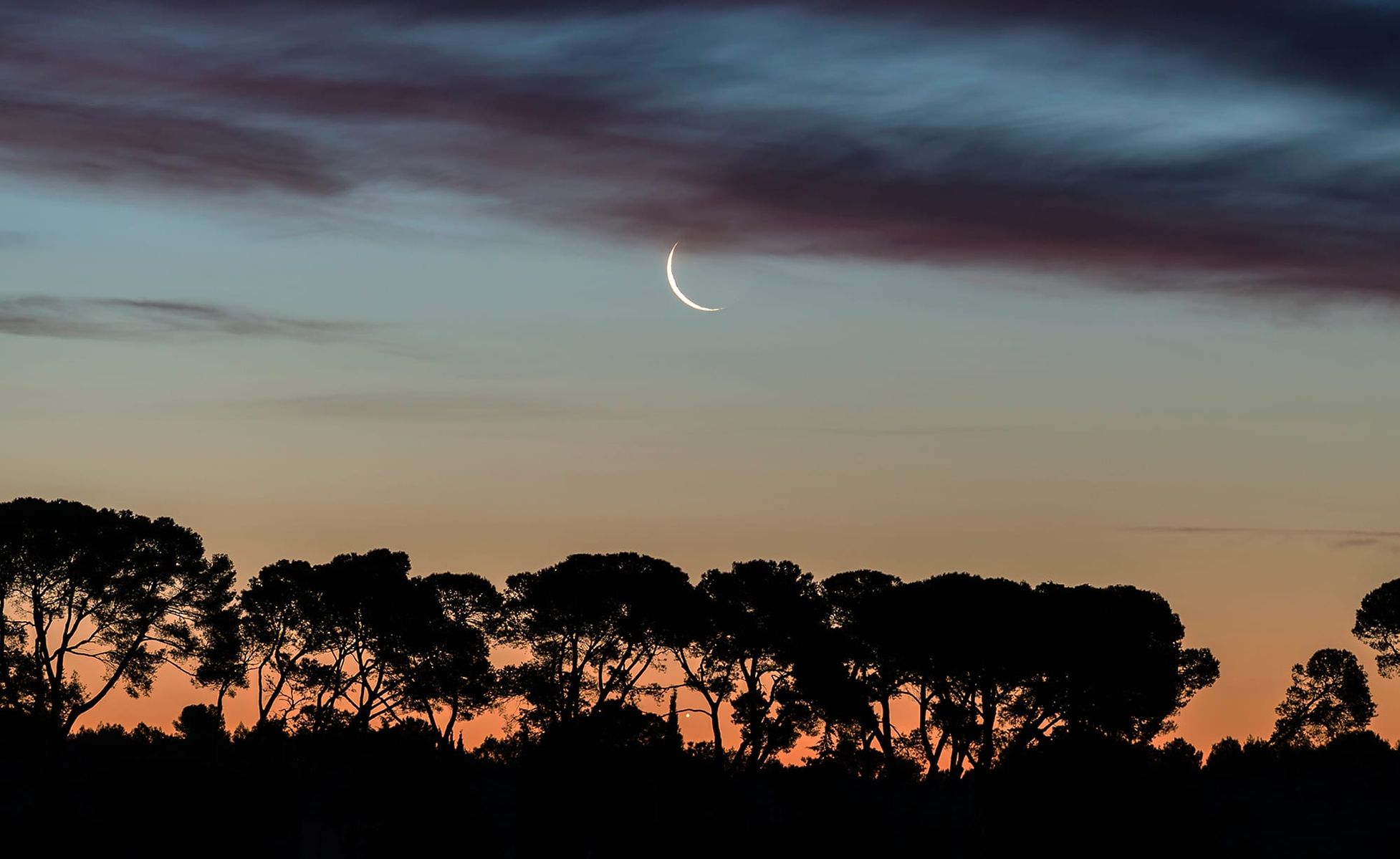 Ciel nocturne avec Vénus brillante et la Lune en croissant.