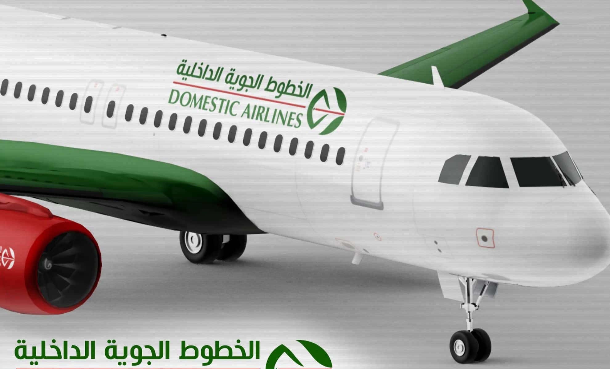Premier vol Domestic Airlines : ce que vous devez absolument savoir