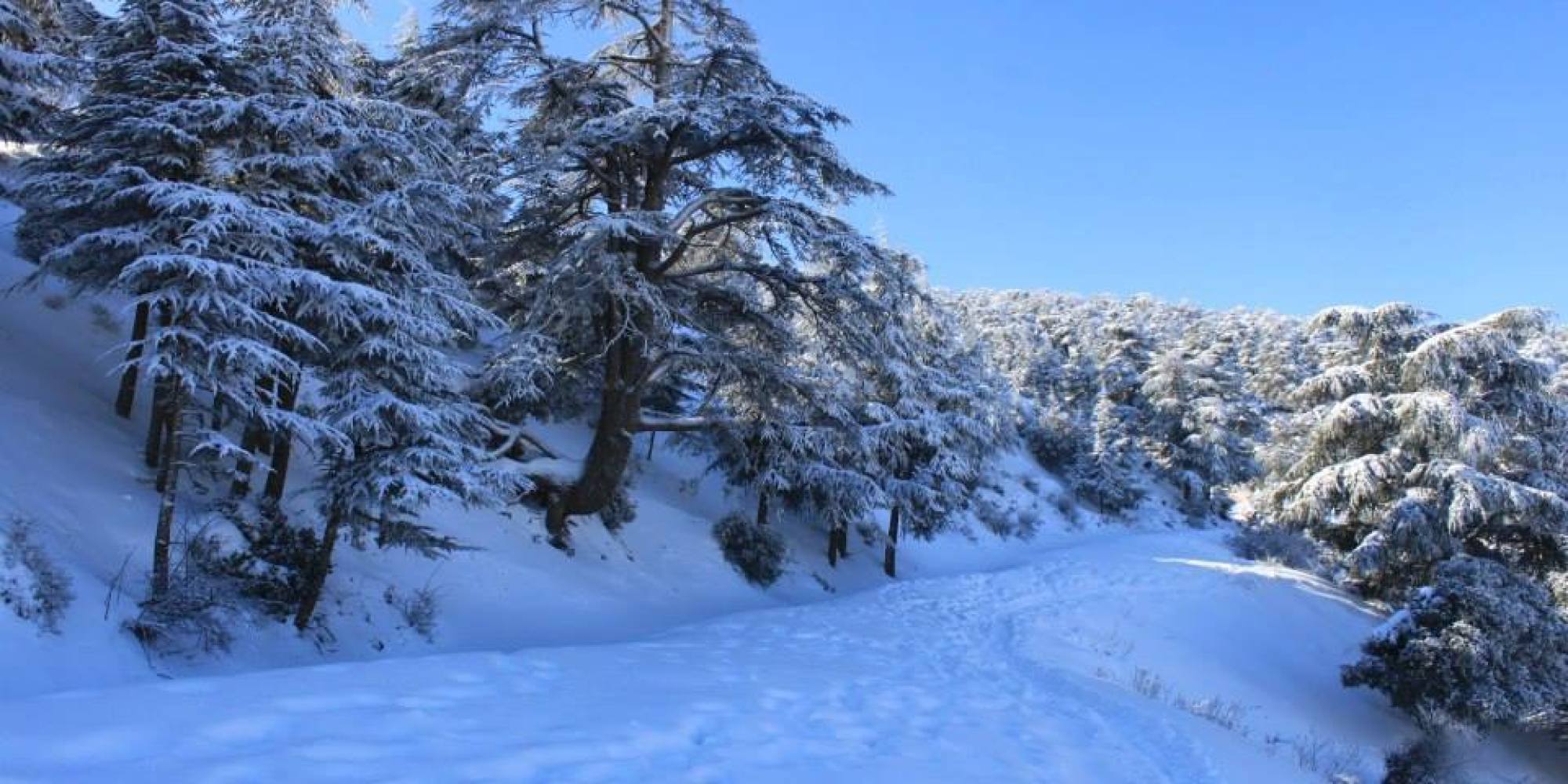 L’Algérie sous alerte météo ce week-end