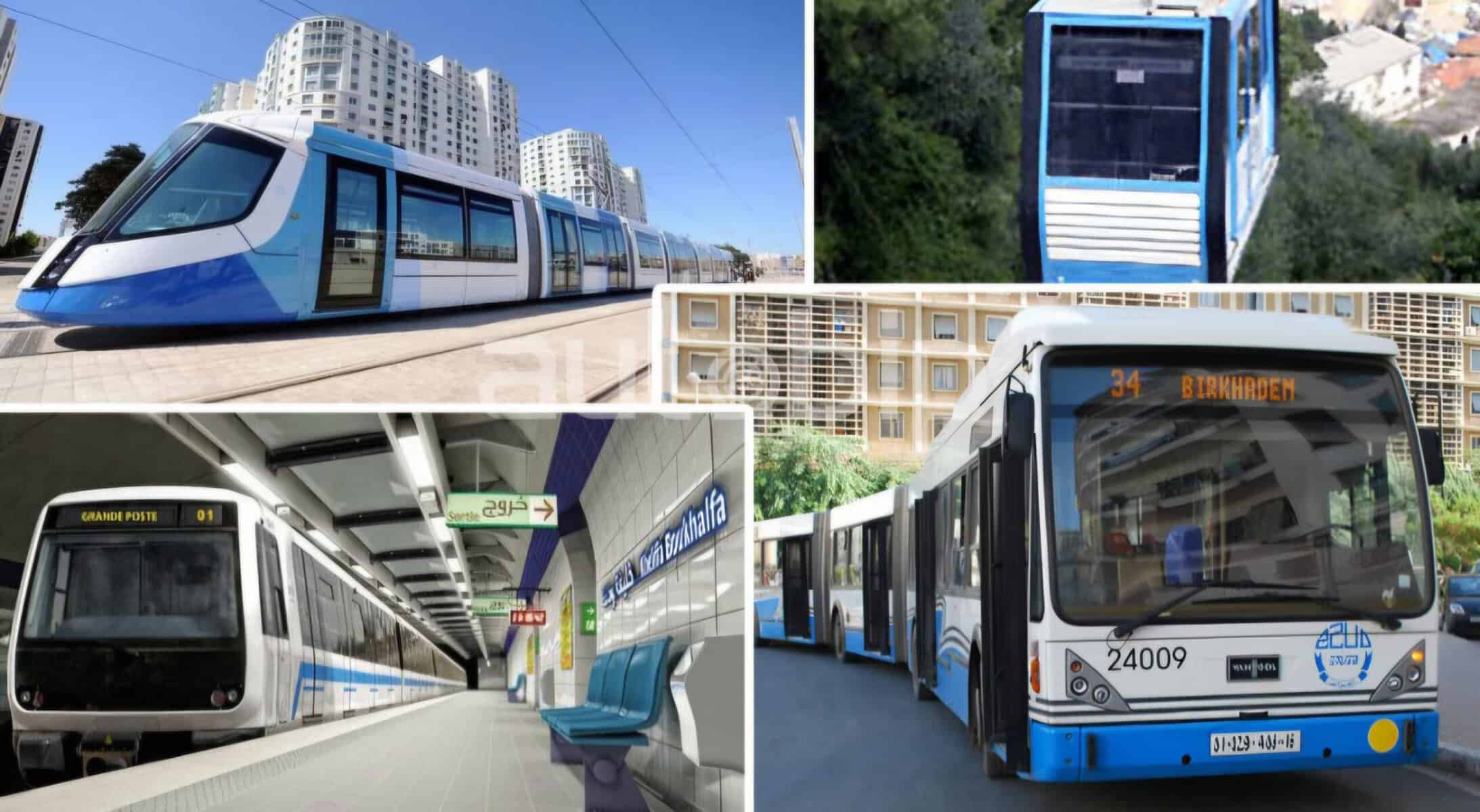Tramway et bus modernes en Algérie pour des trajets économiques.