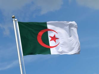 Drapeau algérien flottant dans le ciel bleu.