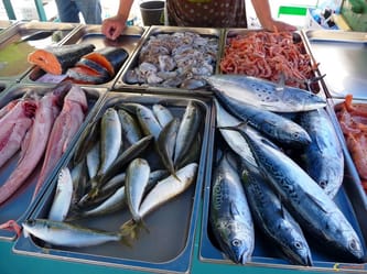 Poissons frais exposés pour la vente lors du Ramadan 2024 en Algérie.