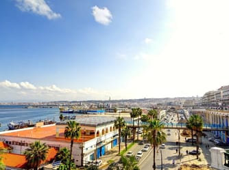 Port de Alger avec bâtiments colorés et palmiers sous ciel bleu.
