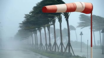 Tempête avec vents forts et arbres inclinés à Maghrebactu.