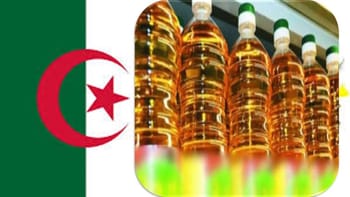 Bouteilles d'huile alimentaire alignées dans un supermarché.