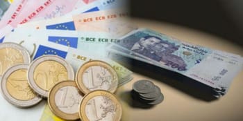 Billets et pièces en euros pour illustrer la monnaie européenne.