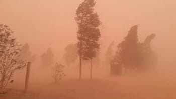 Tempête de poussière dans un paysage rural avec arbres et chemin.