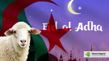 Mouton de l'Aïd El-Adha avec drapeau algérien en arrière-plan.