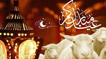 Célébration de l'Aïd al-Adha avec des moutons et lanternes traditionnelles.