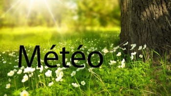 Image représentant la météo en Algérie avec un arbre et des fleurs au soleil.