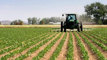 Tracteur agricole cultivant un champ au Nigéria.