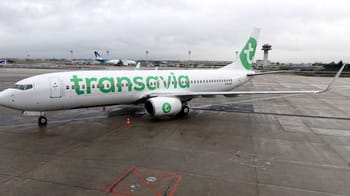 Avion Transavia à l'aéroport avec logo vert et blanc.