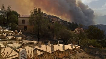 Feu de forêt à Skikda avec fumée dense dans le ciel.