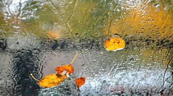 Fenêtre embuée avec feuilles mortes et pluie en arrière-plan.