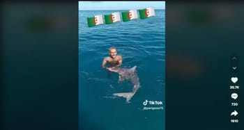 Homme nageant avec un requin dans la mer en Algérie.