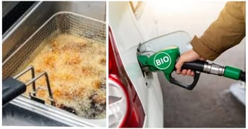 Conversion d'huile de friture en biocarburant dans une station-service.