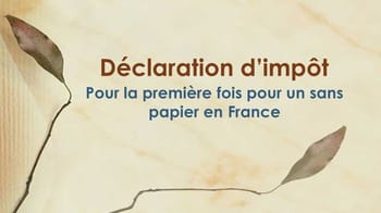 Guide pour déclarer ses revenus sans papiers en France.