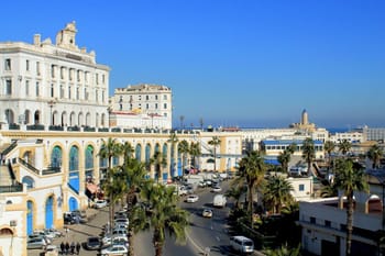 Vue panoramique de la ville d'Alger avec bâtiments historiques et palmiers.
