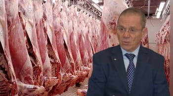 Veaux brésiliens fraîchement arrivés dans un abattoir tunisien.