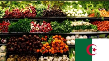 Légumes frais et colorés dans un marché algérien.