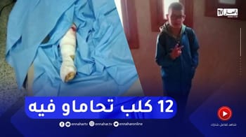 Enfant blessé avec un bras en bandage après une attaque de chiens errants.