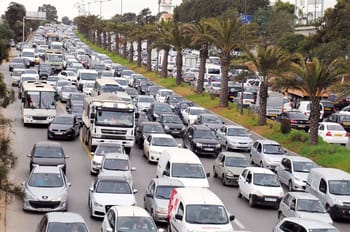 Trafic important sur une avenue bordée de palmiers en Algérie.