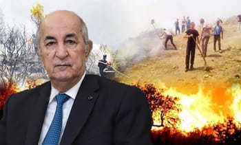 Personne en premier plan avec incendie de forêt en arrière-plan.