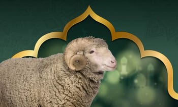 Mouton dans un décor islamique avec motif doré.