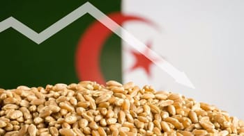Prix du blé en Algérie avec tendance à la baisse.
