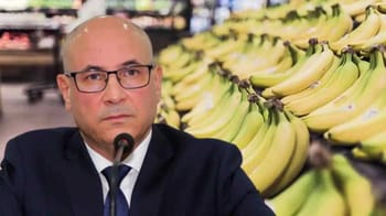 Ministre du commerce devant un étalage de bananes au marché.