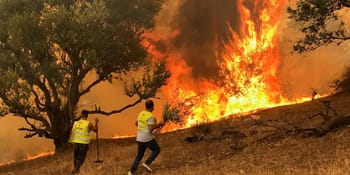 Incendie de forêt en Algérie avec flammes et fumée dense.
