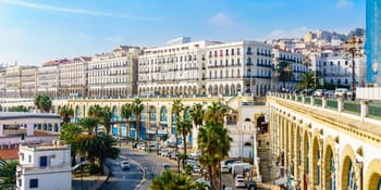 Vue du centre-ville d'Alger avec bâtiments historiques et palmiers.