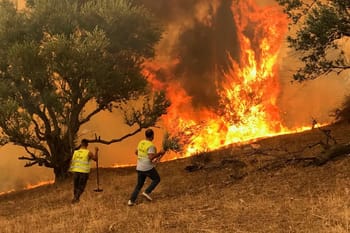Pompiers combattant un incendie de forêt à Béjaïa en Algérie.