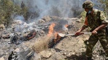 Gendarme éteignant un feu de forêt en Algérie.