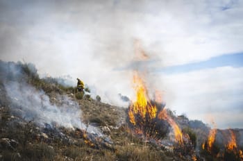 Pompiers combattant un incendie de forêt en Algérie.