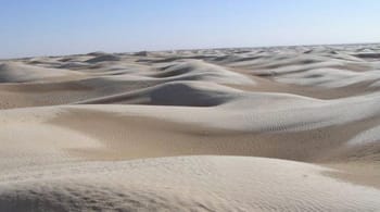 Dunes de sable dans un désert aride près de l'Algérie.