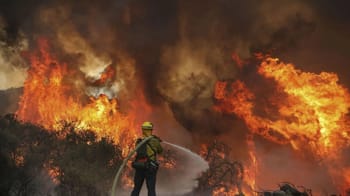 Pompiers combattant un feu de forêt en Algérie.
