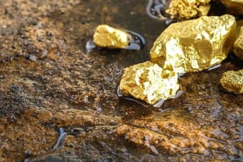 Gros plan sur des pépites d'or sur une surface rocheuse.