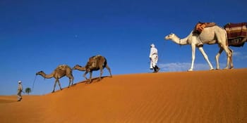 Camels et guides dans le désert de Djanet, Sahara algérien.