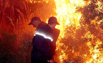 Pompiers combattant un feu de forêt à Bejaïa.