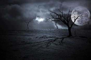 Paysage sombre avec arbres dénudés et pleine lune dans un ciel nuageux.