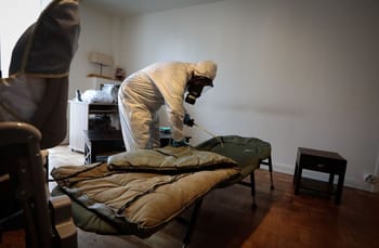 Professionnel en lutte contre les punaises de lit dans une chambre.