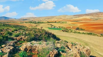 Paysage rural avec champs et montagnes en arrière-plan.