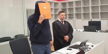Un homme masqué en garde à vue lors d'une arrestation en Allemagne.