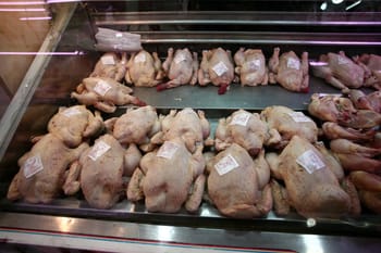 Poulets brésiliens exposés dans une vitrine de supermarché en Algérie.