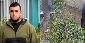 Témoin d'une agression raciste dans un jardin en France, avec des branches cassées au sol.