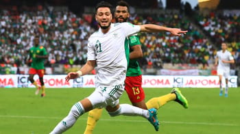 Joueur algérien célèbre lors du match contre le Cameroun.