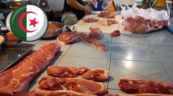 Viande rouge fraîche prête à être vendue dans un marché algérien.